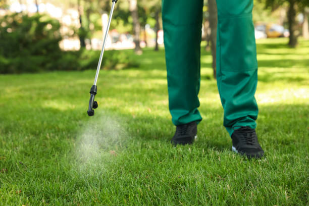 Best Pest Control Near Me in Dundee, OR