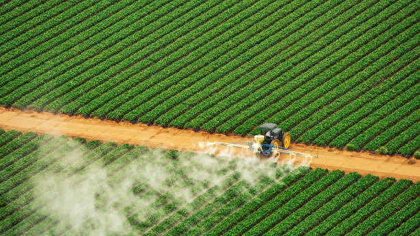 Best Pest Removal Services  in Dundee, OR
