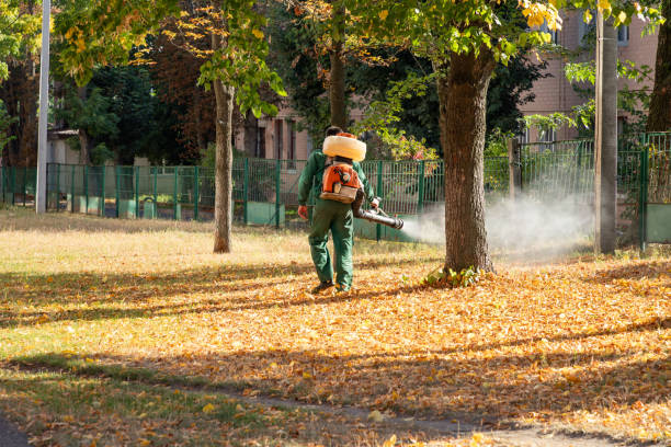 Best Best Pest Control Companies  in Dundee, OR