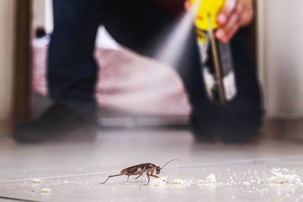 Professional Pest Control in Dundee, OR