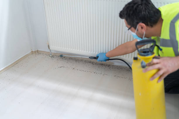 Best Mosquito Control Services  in Dundee, OR
